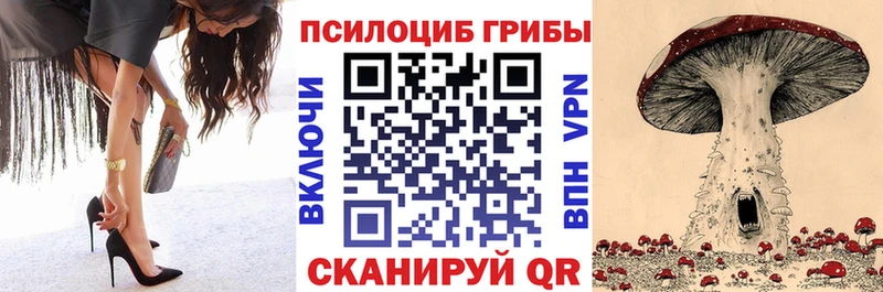 Псилоцибиновые грибы Psilocybine cubensis  кракен tor  Себеж  купить наркоту 